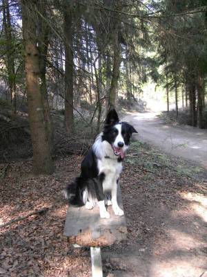 zum sortieren April07 233.jpg